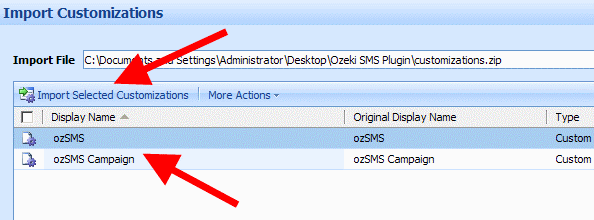 import selected customizations